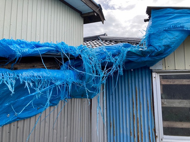 応急処置ブルーシートの劣化